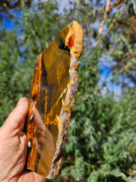 Polished Tiger Eye slab TE466