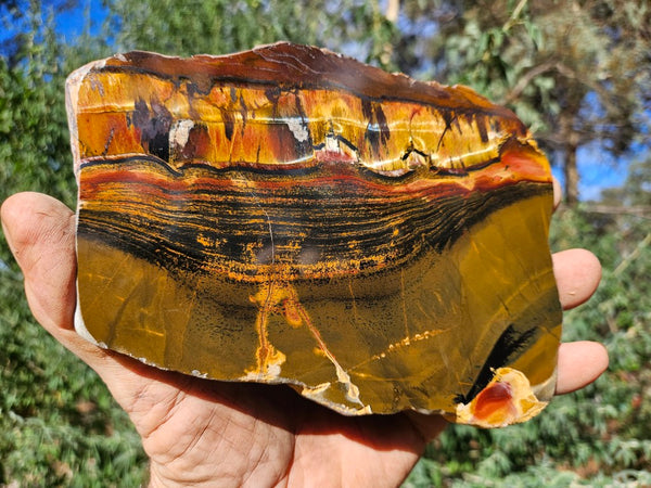 Polished Tiger Eye slab TE466