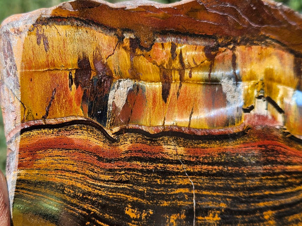 Polished Tiger Eye slab TE466