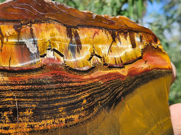 Polished Tiger Eye slab TE466