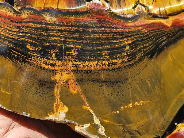 Polished Tiger Eye slab TE466