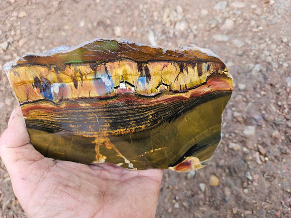 Polished Tiger Eye slab TE466