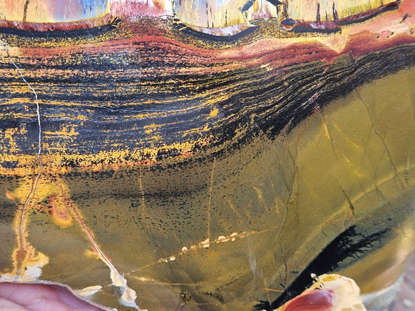 Polished Tiger Eye slab TE466
