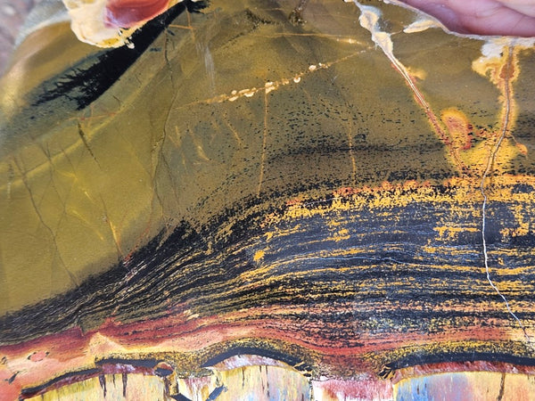 Polished Tiger Eye slab TE466