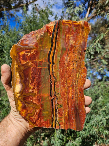 Polished Tiger Eye slab TE467