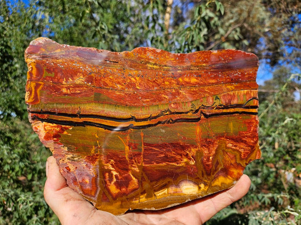 Polished Tiger Eye slab TE467