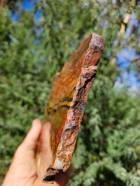 Polished Tiger Eye slab TE467