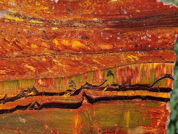 Polished Tiger Eye slab TE467
