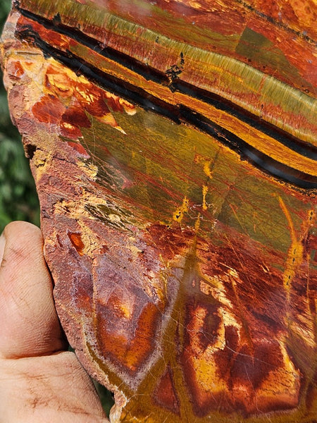 Polished Tiger Eye slab TE467