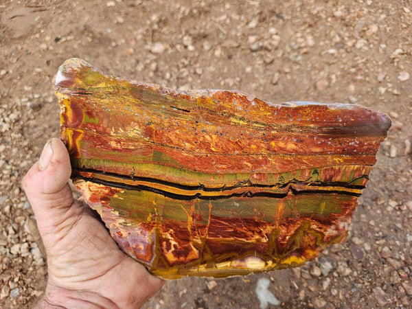 Polished Tiger Eye slab TE467