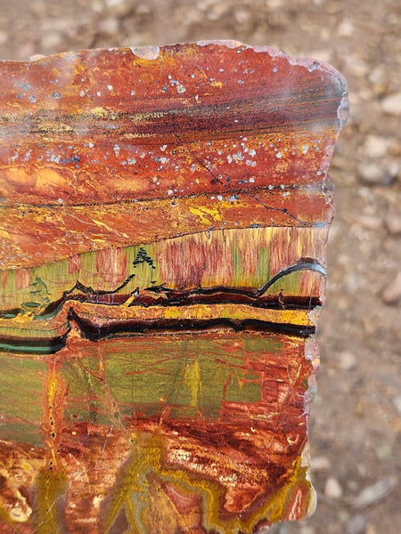 Polished Tiger Eye slab TE467