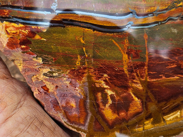 Polished Tiger Eye slab TE467