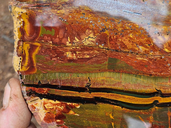 Polished Tiger Eye slab TE467