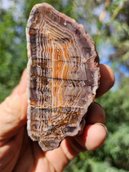 Polished Pilbara Agate PA272