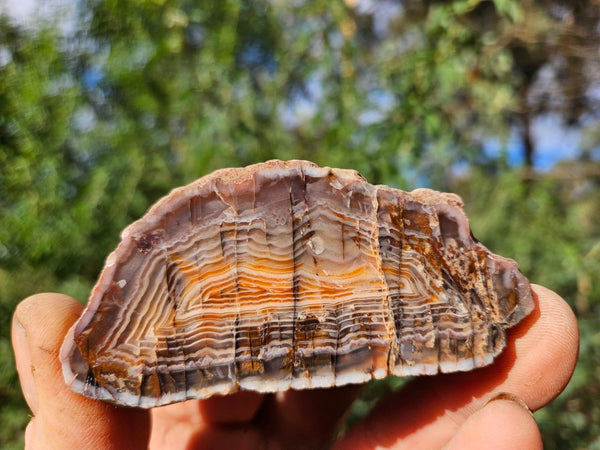 Polished Pilbara Agate PA272