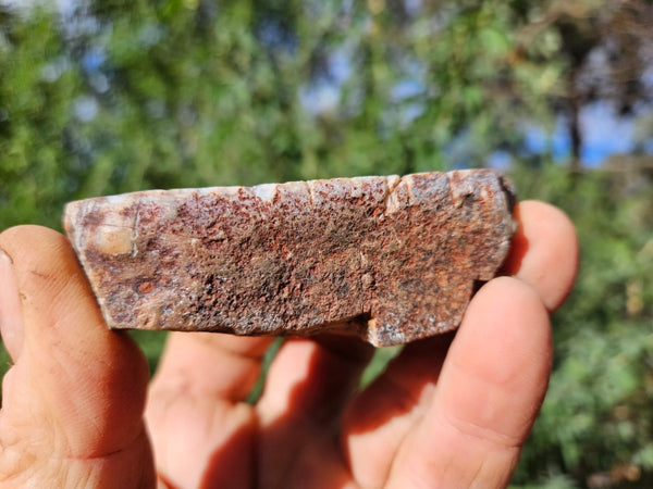 Polished Pilbara Agate PA272