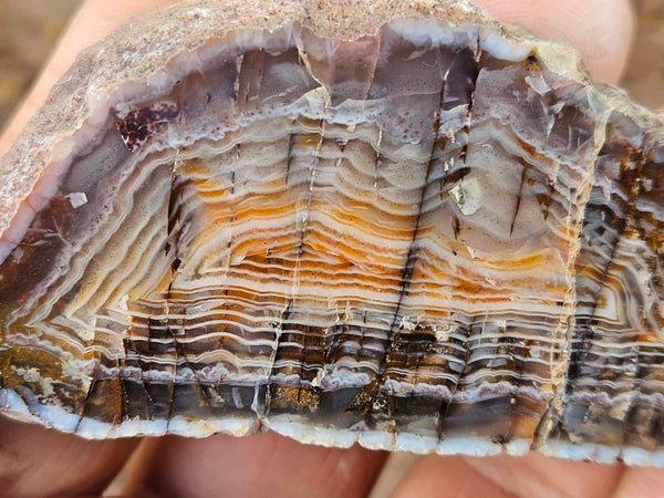 Polished Pilbara Agate PA272