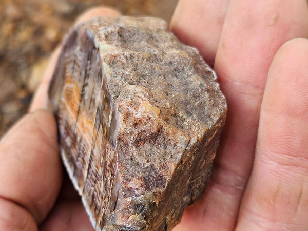 Polished Pilbara Agate PA272