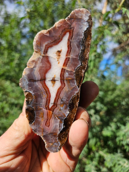 Polished Pilbara Agate PA273