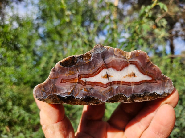 Polished Pilbara Agate PA273