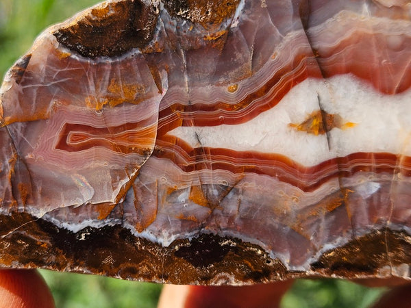 Polished Pilbara Agate PA273