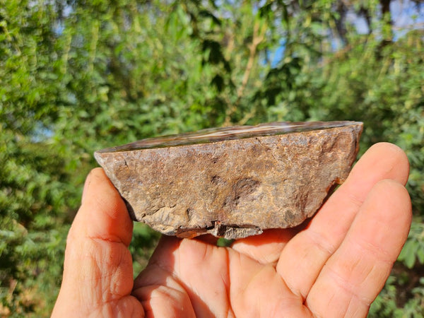 Polished Pilbara Agate PA273