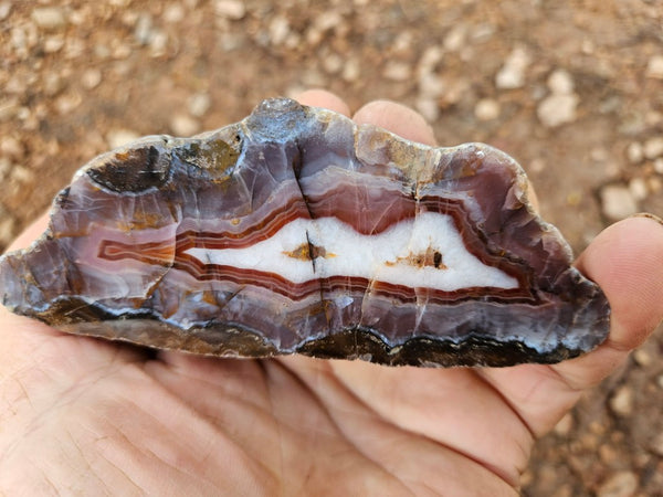 Polished Pilbara Agate PA273