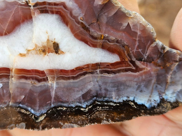 Polished Pilbara Agate PA273
