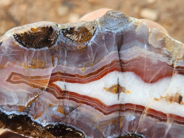 Polished Pilbara Agate PA273