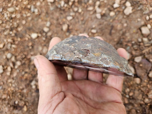 Polished Pilbara Agate PA273