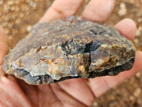 Polished Pilbara Agate PA273