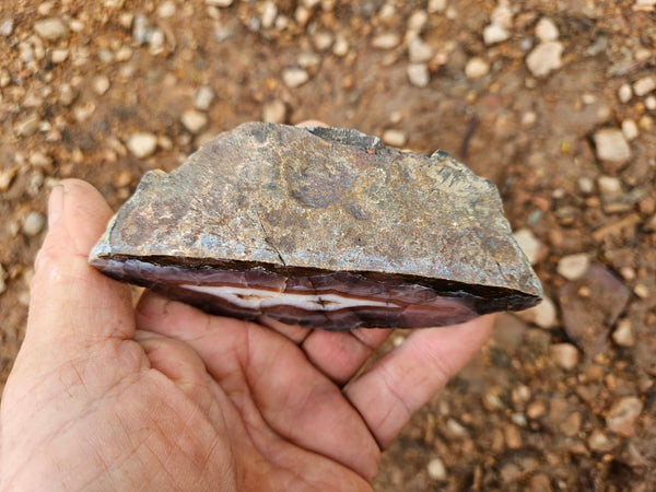 Polished Pilbara Agate PA273