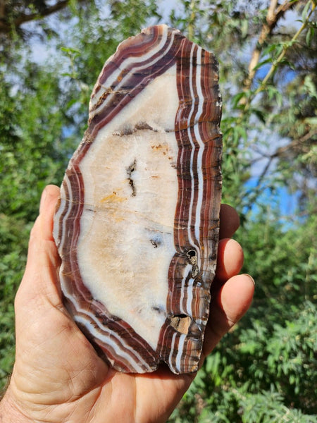 Polished Pilbara Agate slab PA275