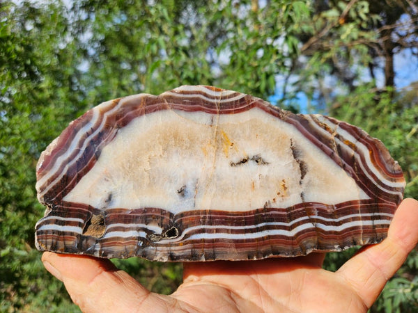 Polished Pilbara Agate slab PA275