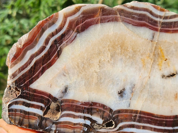 Polished Pilbara Agate slab PA275