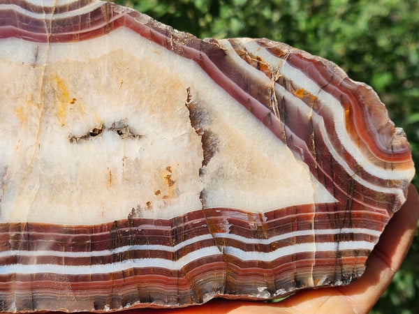 Polished Pilbara Agate slab PA275
