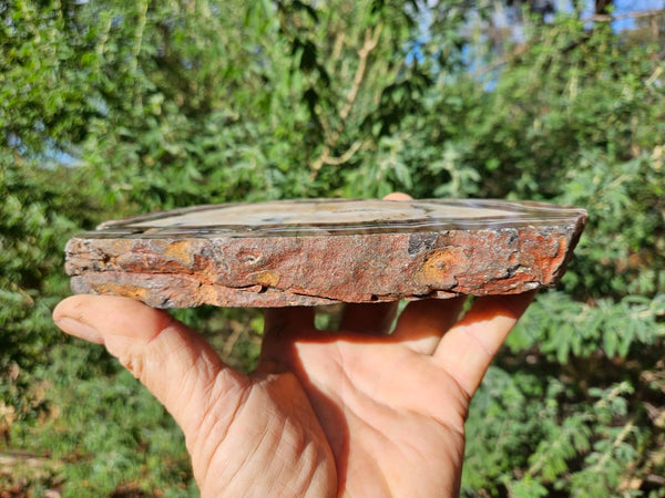 Polished Pilbara Agate slab PA275
