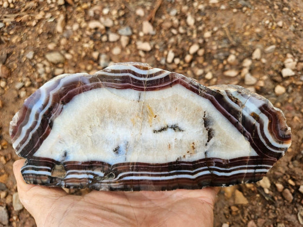 Polished Pilbara Agate slab PA275