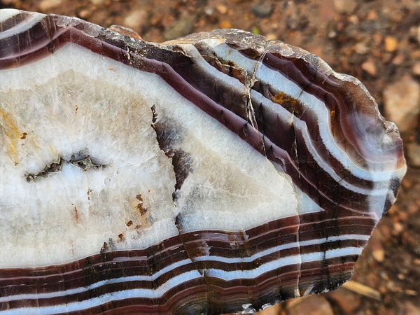 Polished Pilbara Agate slab PA275