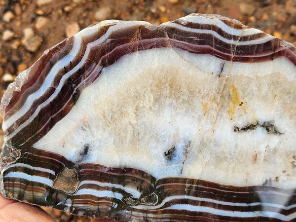Polished Pilbara Agate slab PA275