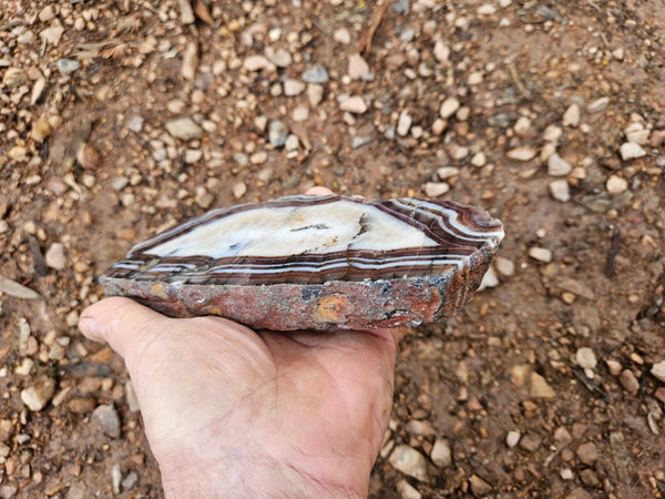 Polished Pilbara Agate slab PA275