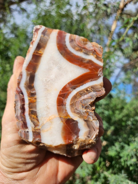 Polished Pilbara Agate PA274