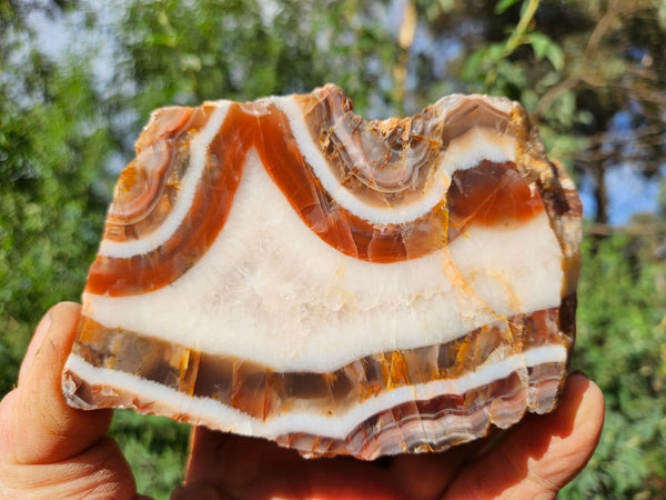 Polished Pilbara Agate PA274