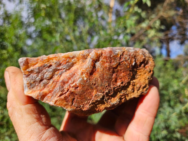 Polished Pilbara Agate PA274