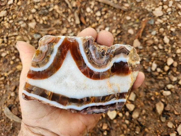 Polished Pilbara Agate PA274