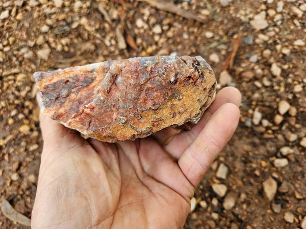 Polished Pilbara Agate PA274