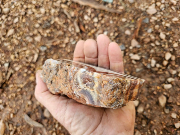 Polished Pilbara Agate PA274