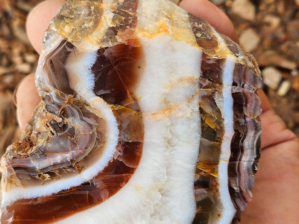 Polished Pilbara Agate PA274
