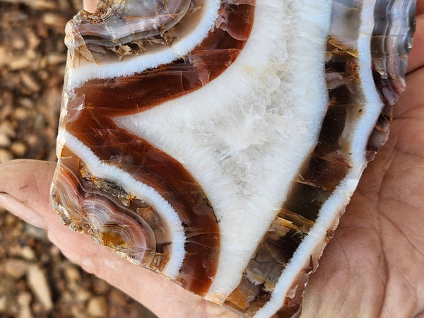 Polished Pilbara Agate PA274