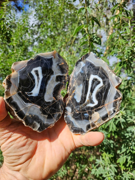 Polished Pilbara Agate PA276